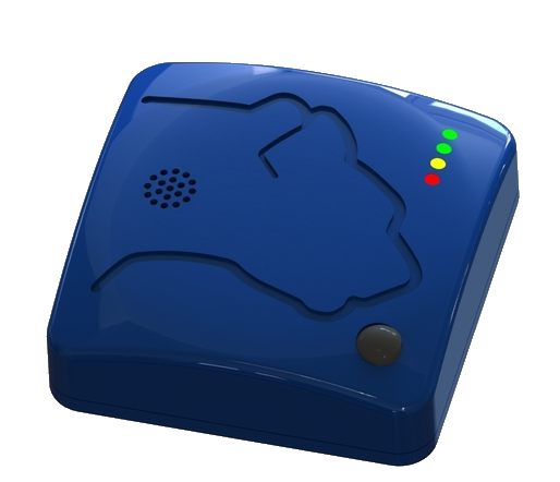 KAT (Kinesthetic Awareness Training)  gallery image