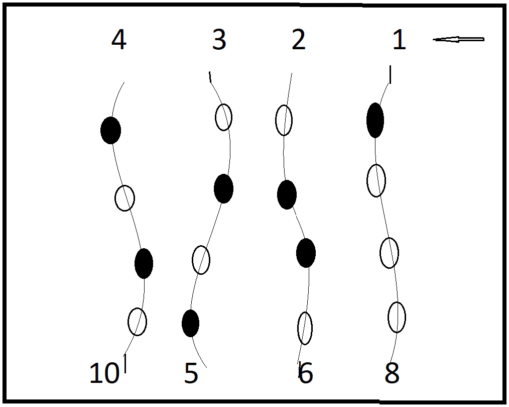The Principle of sixteen