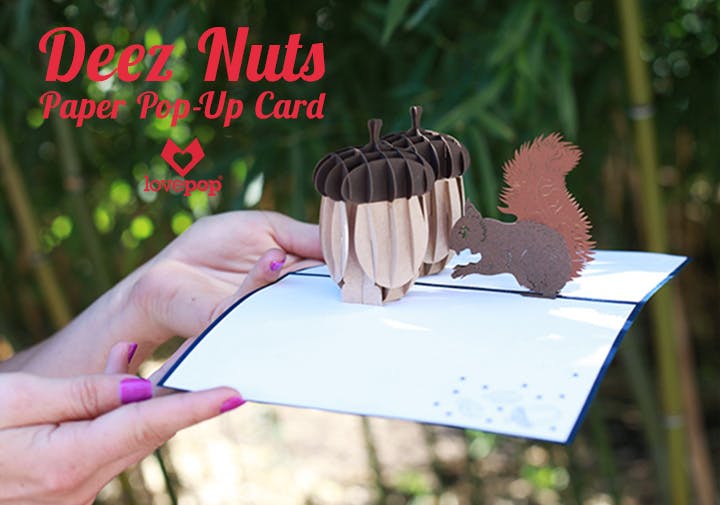 Donald Trump & Deez Nuts 3D Paper Pop-Up Cards media 1