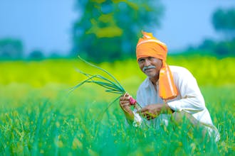 Online Agri Market in India gallery image
