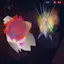 Kaleidoscope