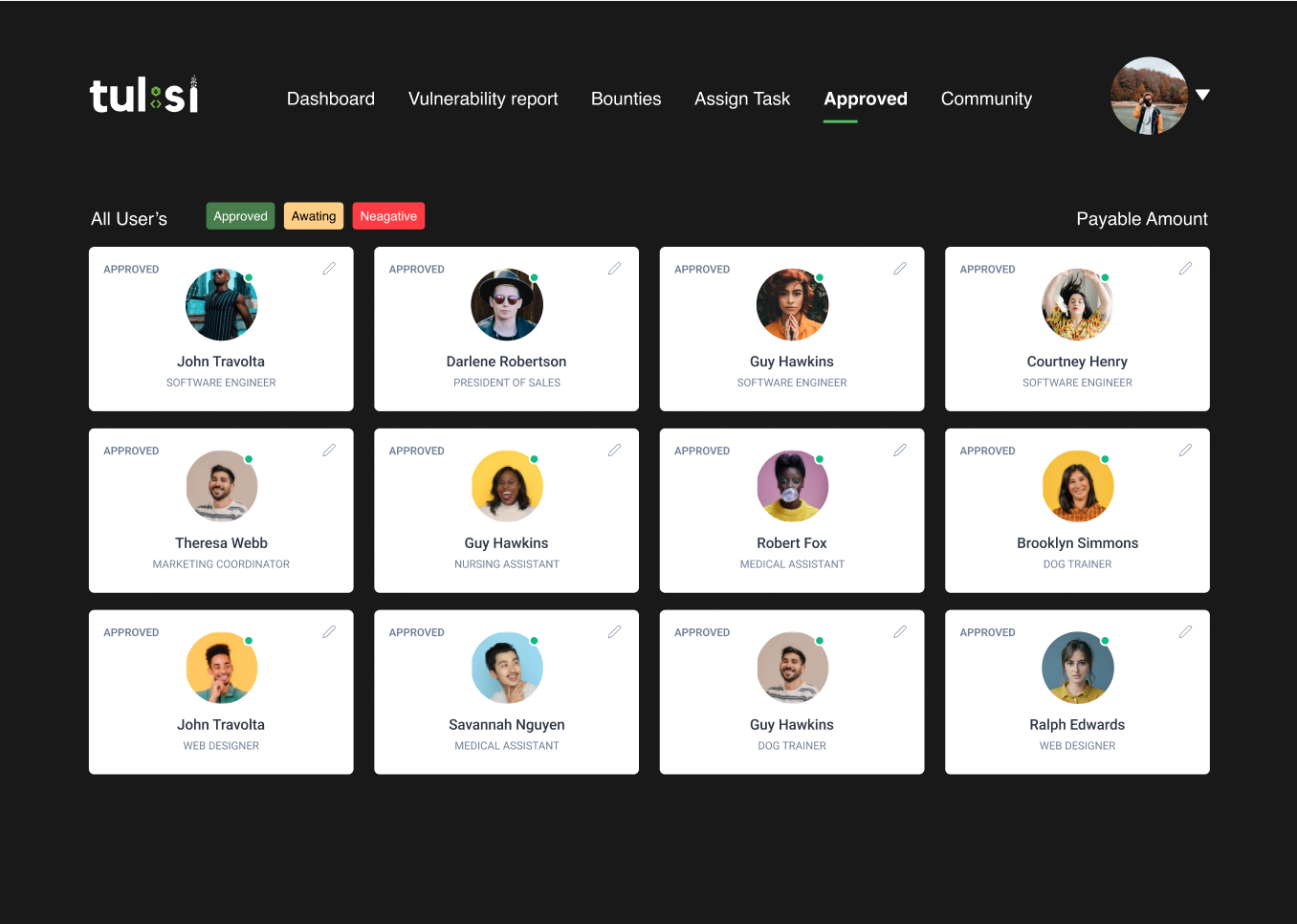 Tulsi Pentest gallery image