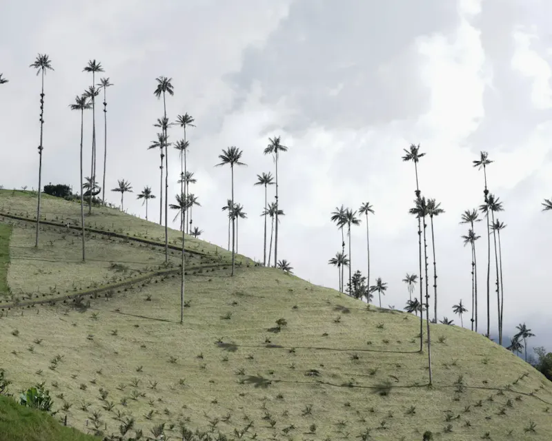 Quindío es Mío screenshot 3