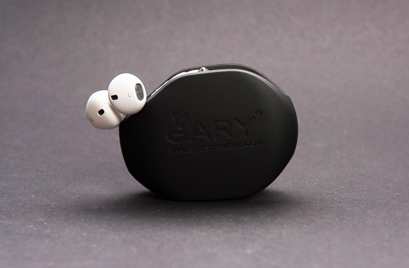 Gary 2.0 Image