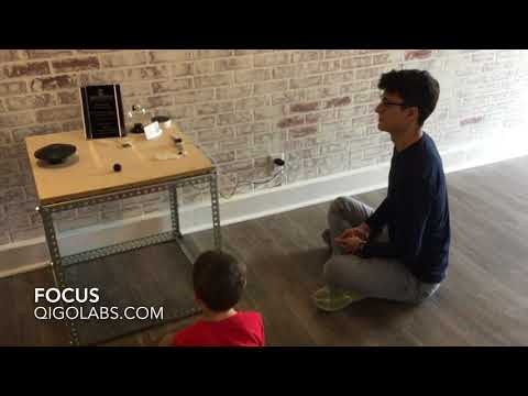 Focus Game gallery image