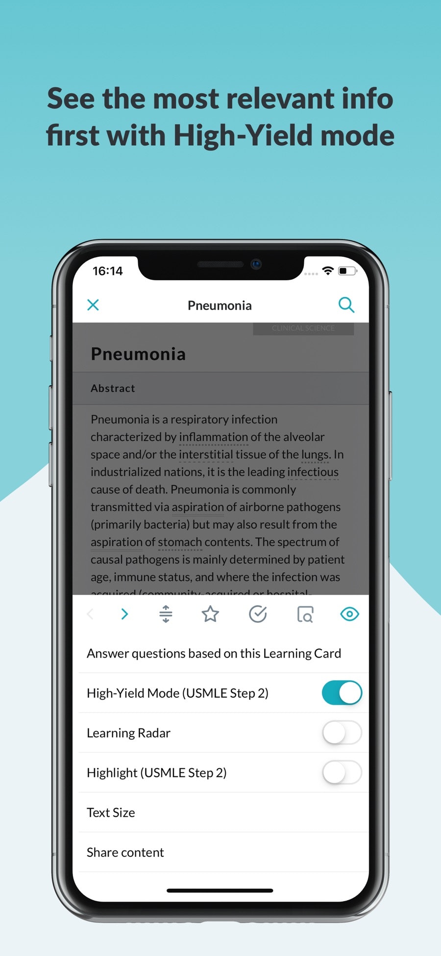 Amboss gallery image