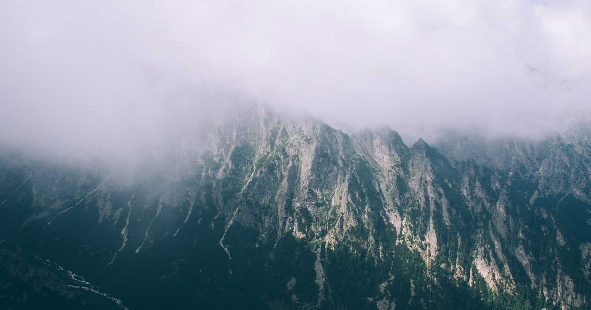 Evolve AI Fitness Coach gallery image