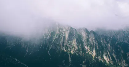 Evolve AI Fitness Coach gallery image