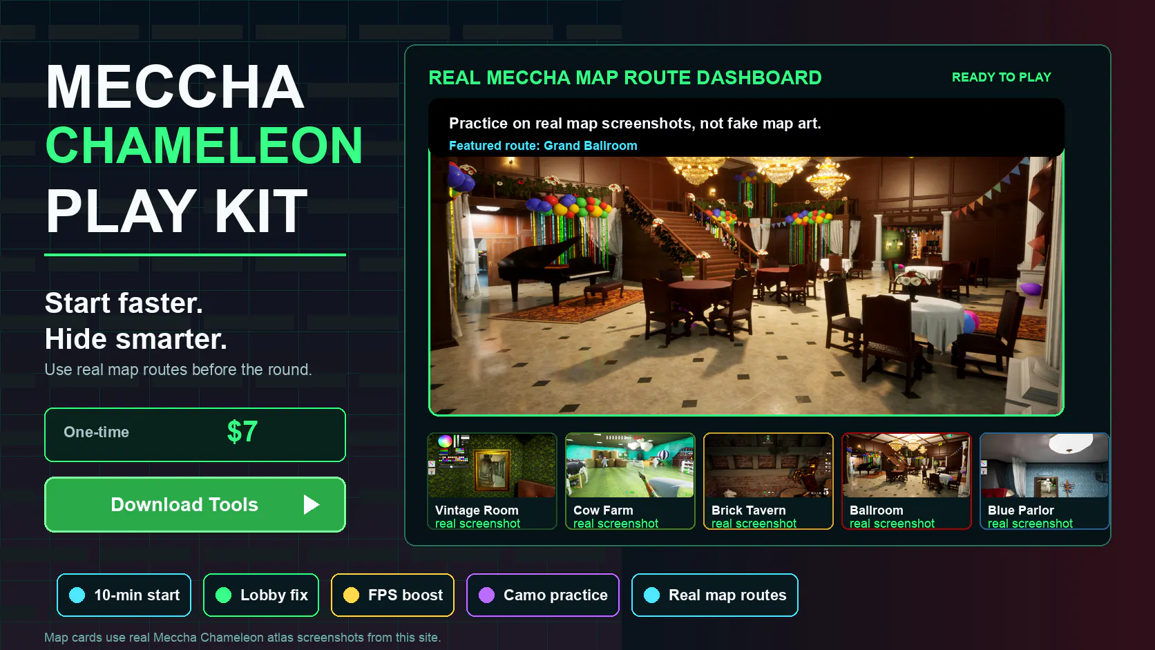 Meccha Chameleon Art