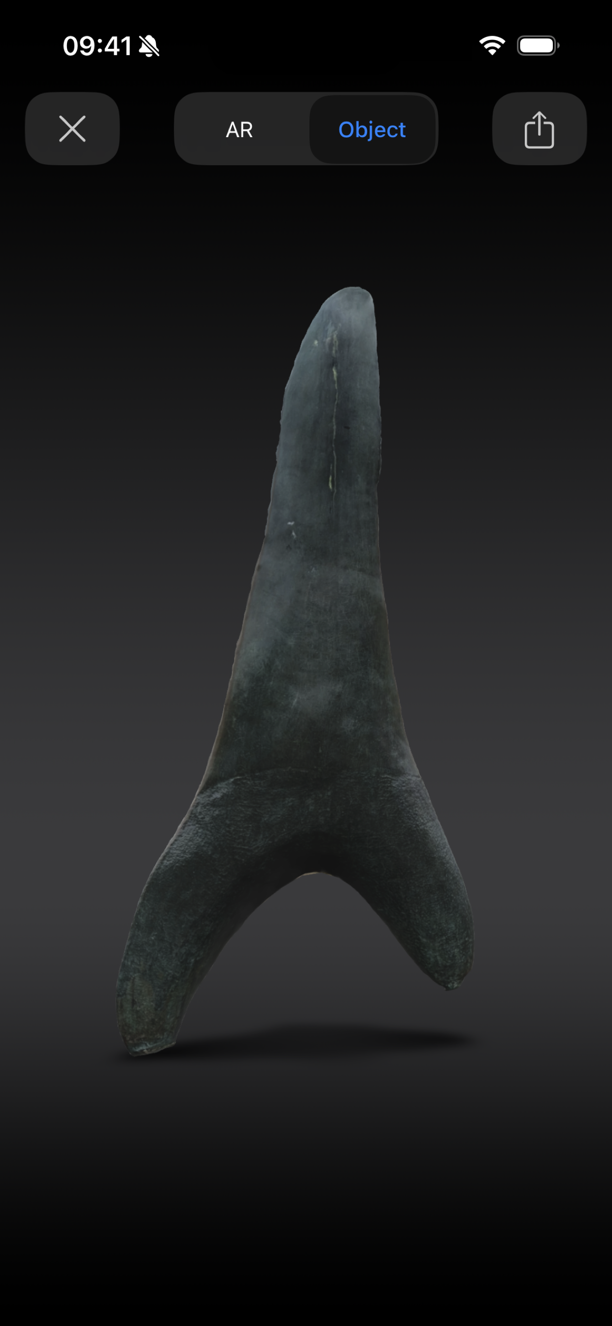 Mídia 11 de 3D Scan Pro - Varredura 3D no nível pró-leão.Acessível a você.