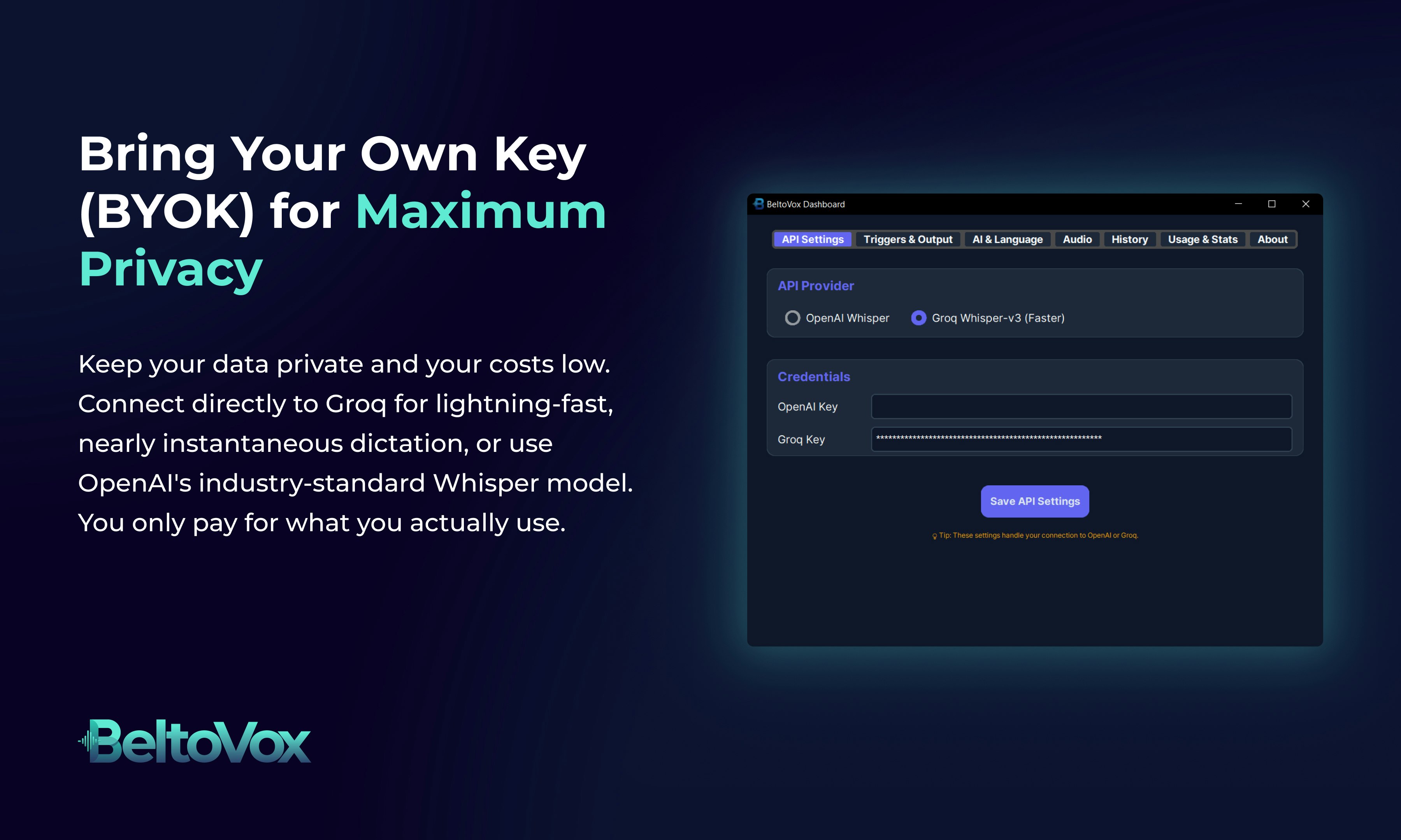 BeltoVox gallery image