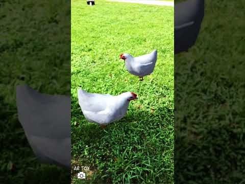 AR Toy Camera gallery image