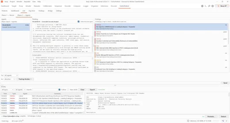 TurboPentest screenshot 18