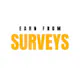 Survey Earnings Calculator