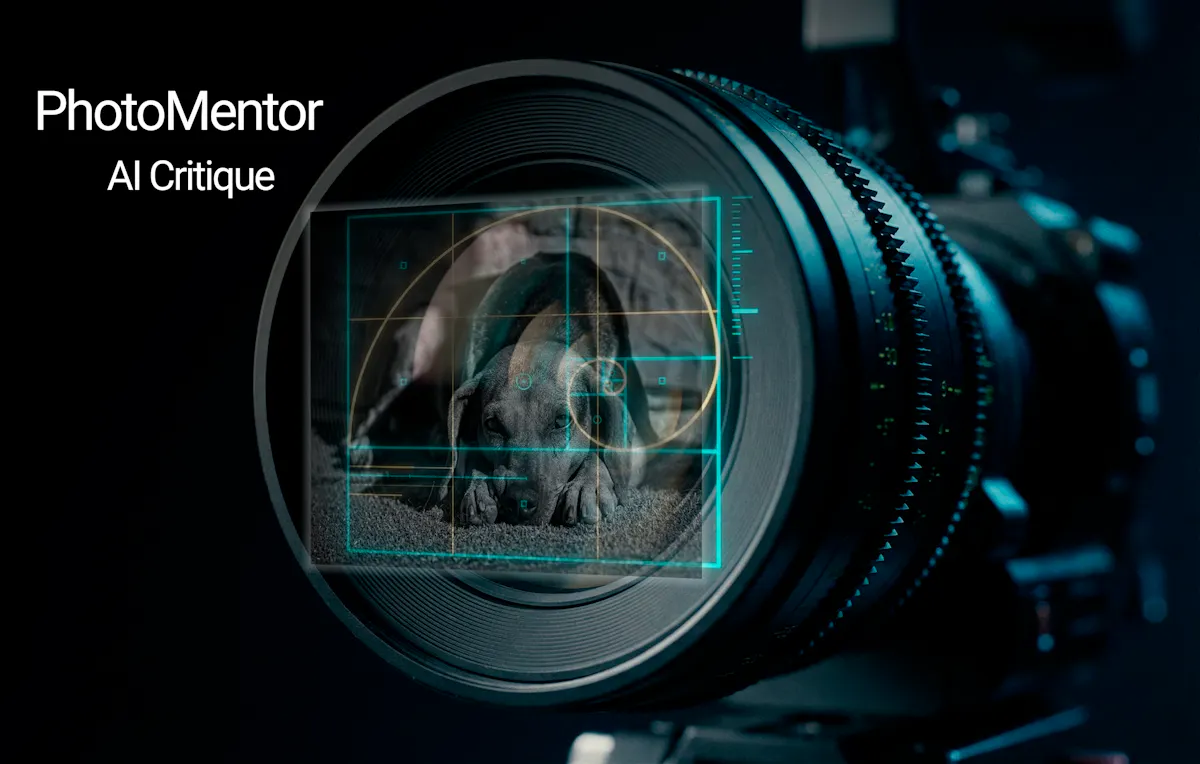PhotoMentor