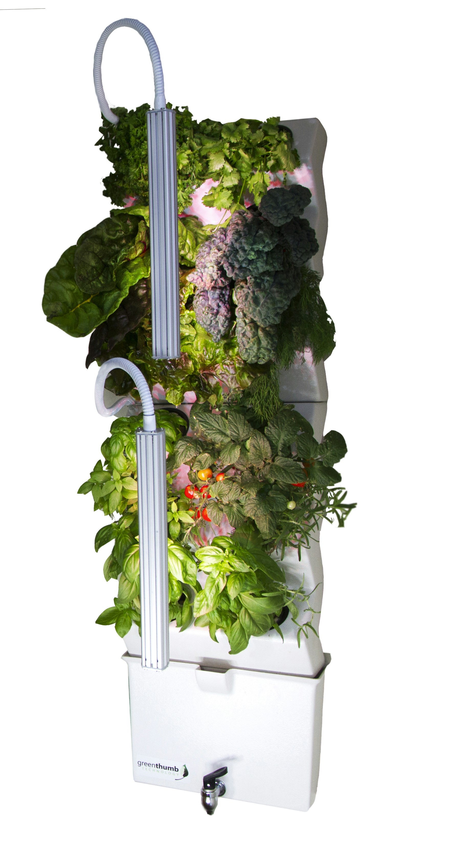 The VeggieWall gallery image