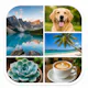 Free Photo Collage Maker