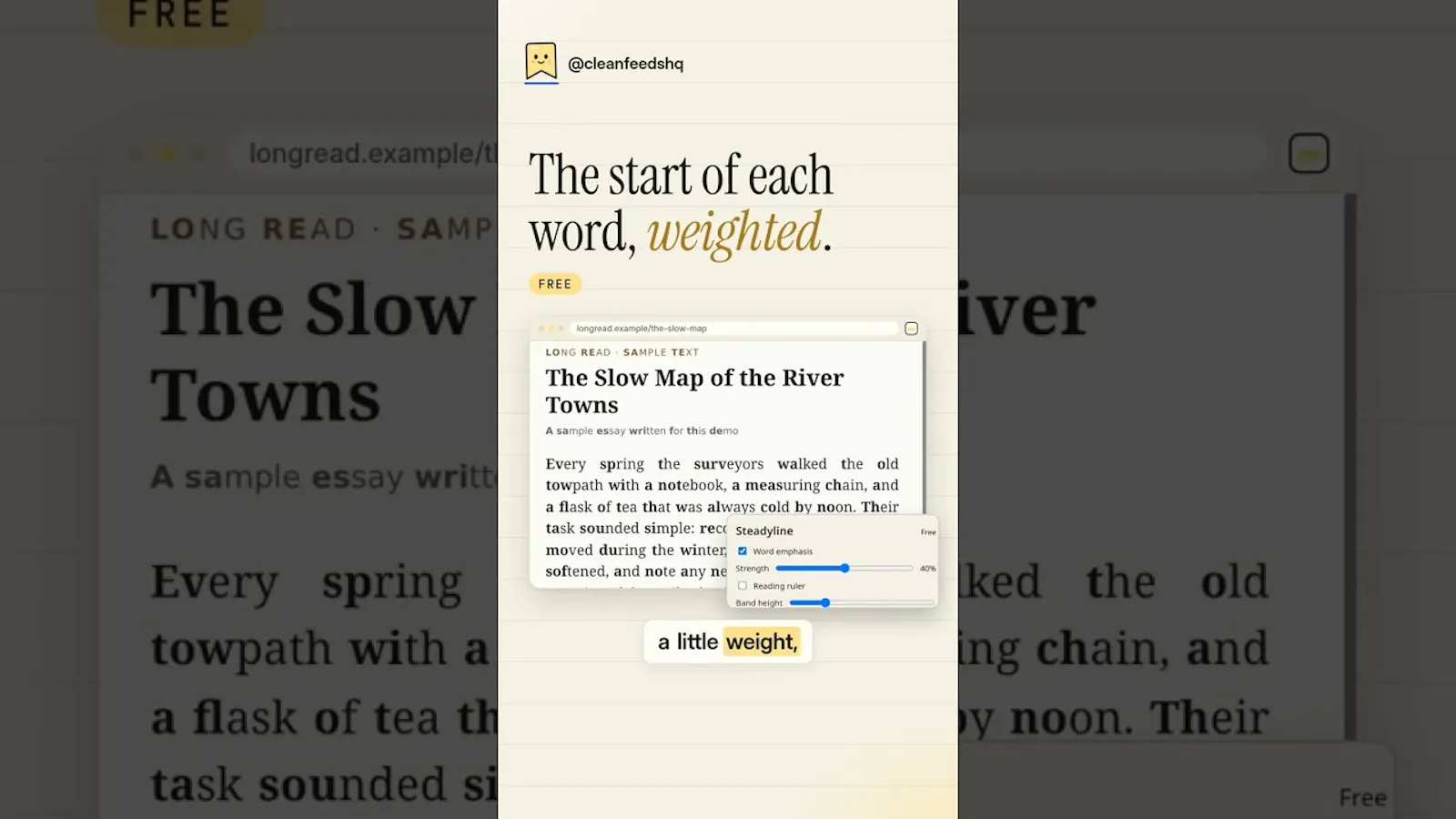 Steadyline screenshot 1 (video preview)