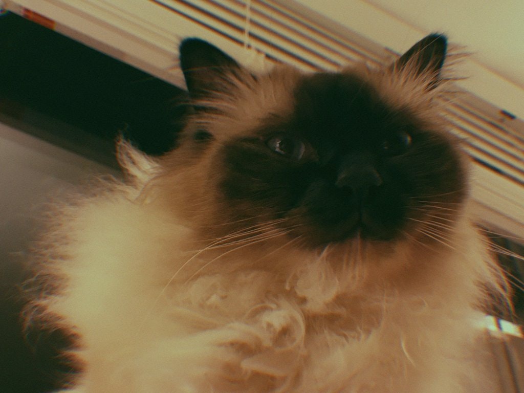 Gudak Cam gallery image