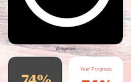 Year Progress Widget by Widgetize media 1