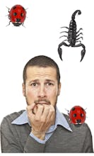 AR Fruit Gobbler gallery image