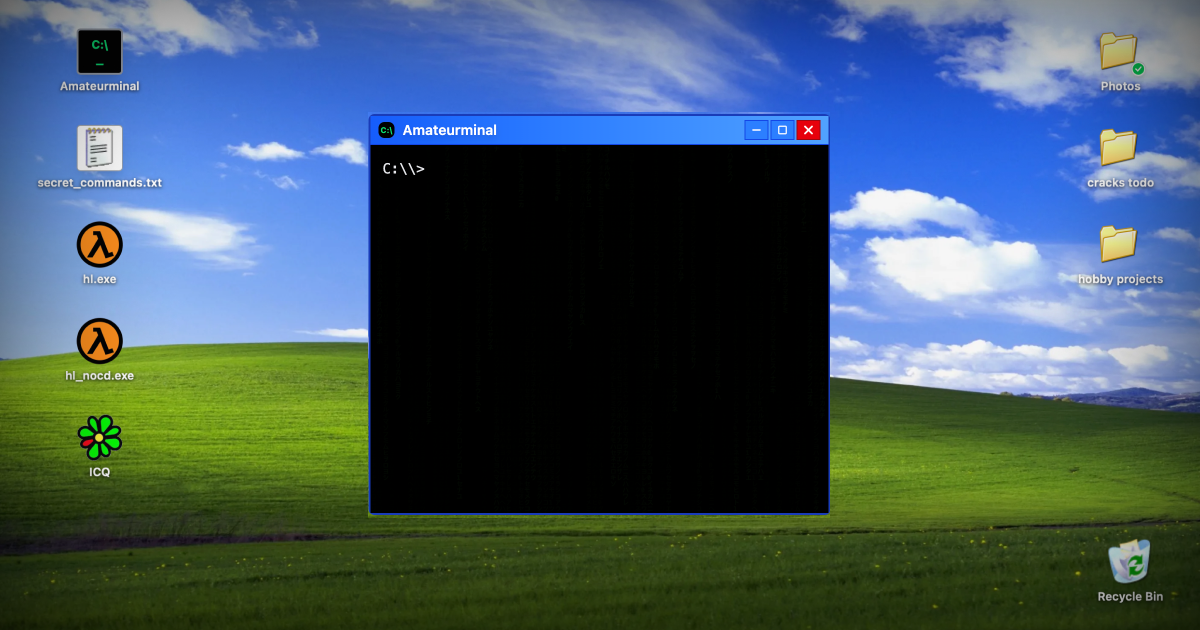 Amateurminal: Terminal for Amateurs gallery image