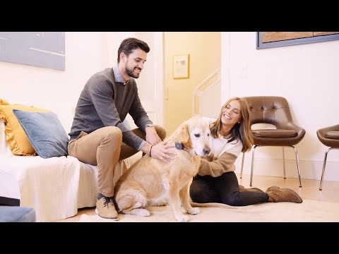 Findster Home gallery image