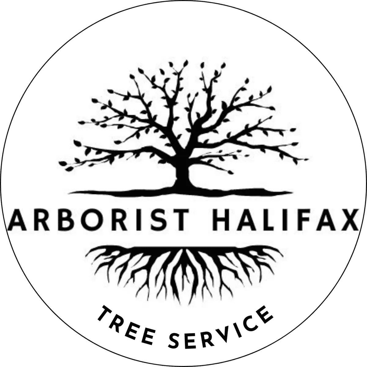 Arborist Halifax gallery image