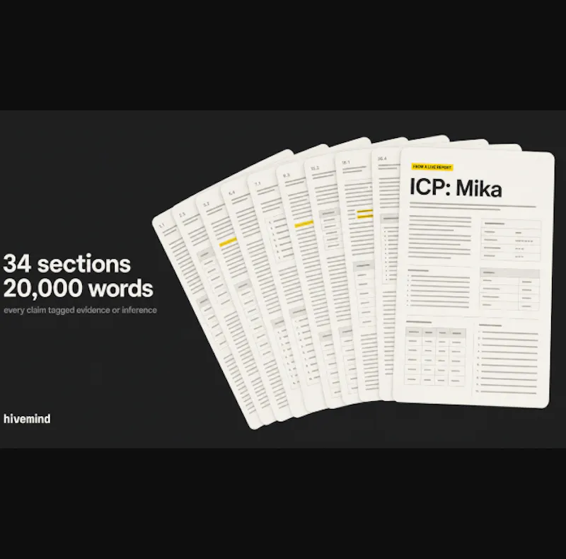 Meet Your ICP  screenshot 2