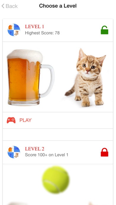Beer or Kitten gallery image