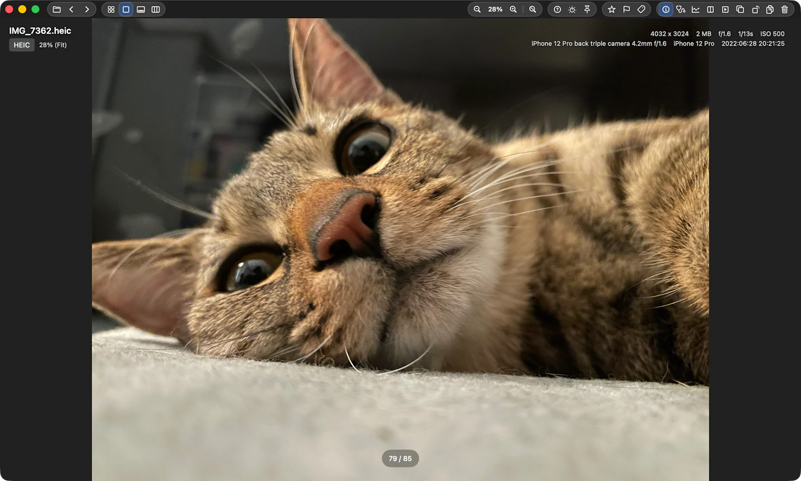 SnapView: Fast Image Viewer screenshot 7
