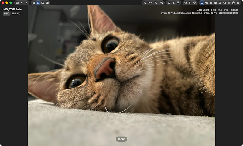 SnapView: Fast Image Viewer screenshot 7