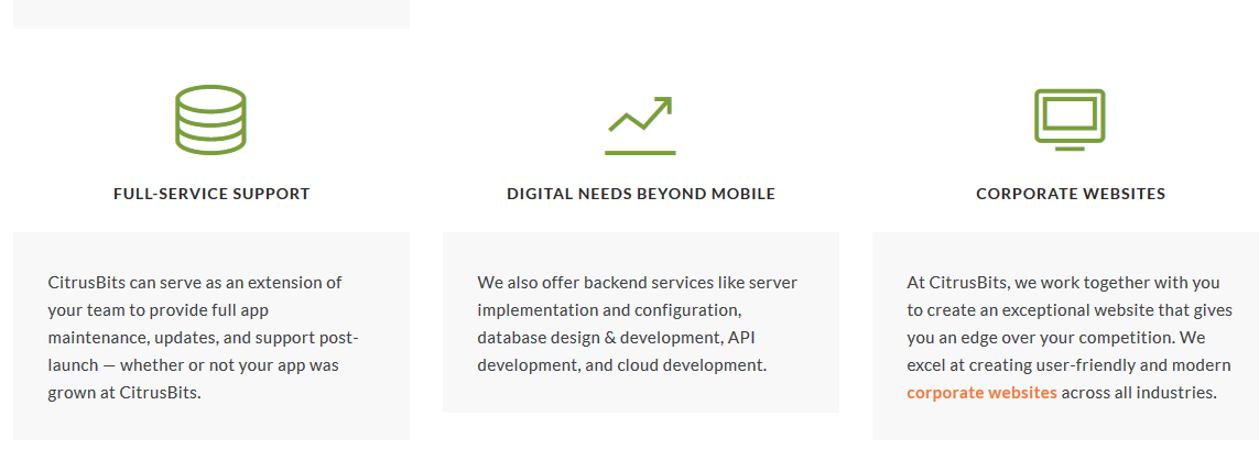 CitrusBits gallery image