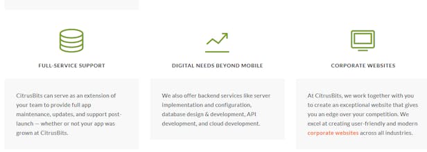 CitrusBits gallery image