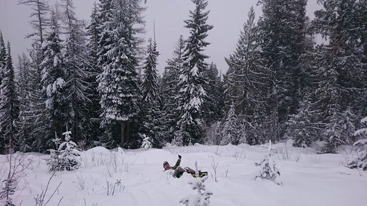 Hamish Johnson cover