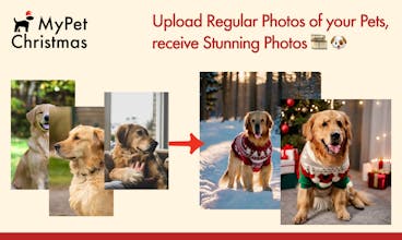 My Pet Christmas | High-res Pet Photos gallery image