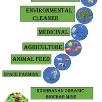 biochar & hydrochar gallery image