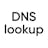 DNS lookup