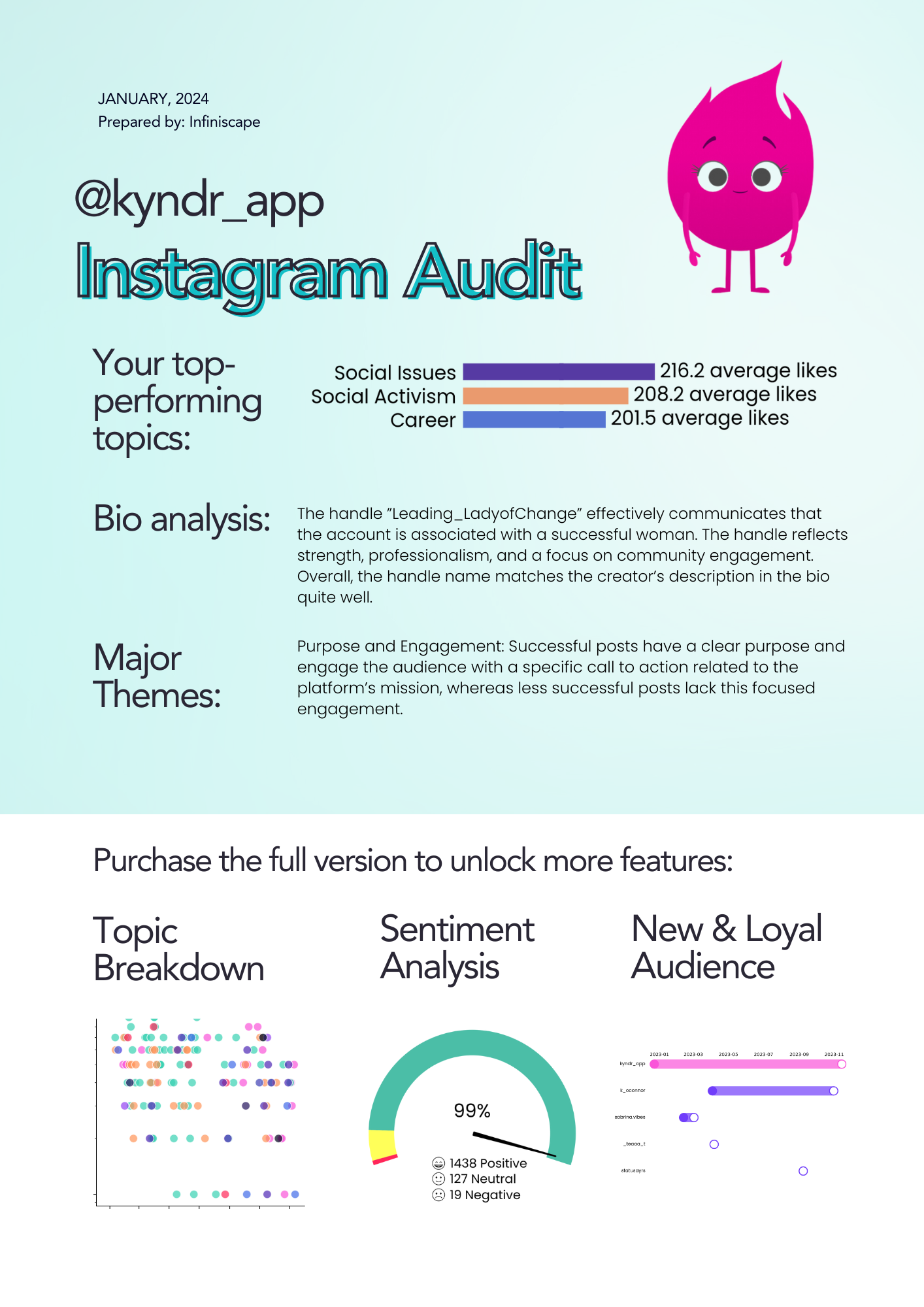 Infiniscape's Social Media Audit gallery image