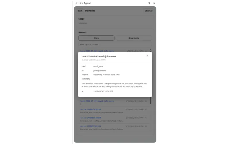 Lite Agent screenshot 7