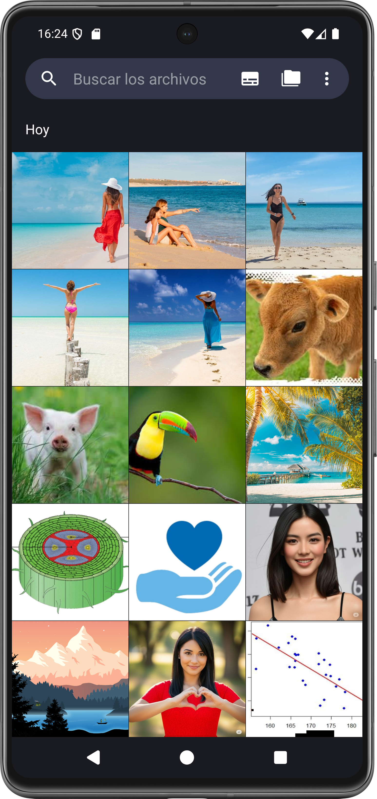 Galería AID - Bóveda privada gallery image