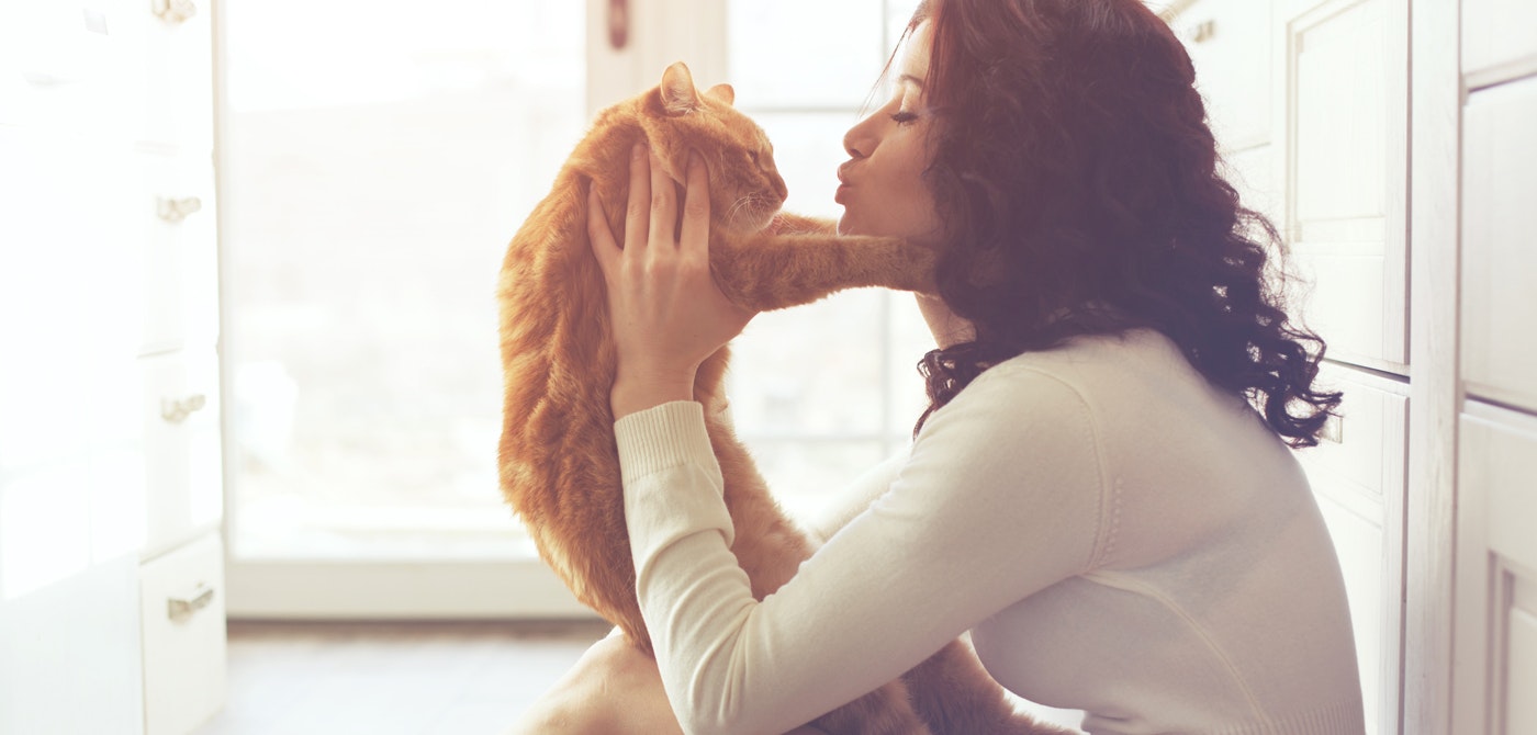 Cat Lady Box gallery image