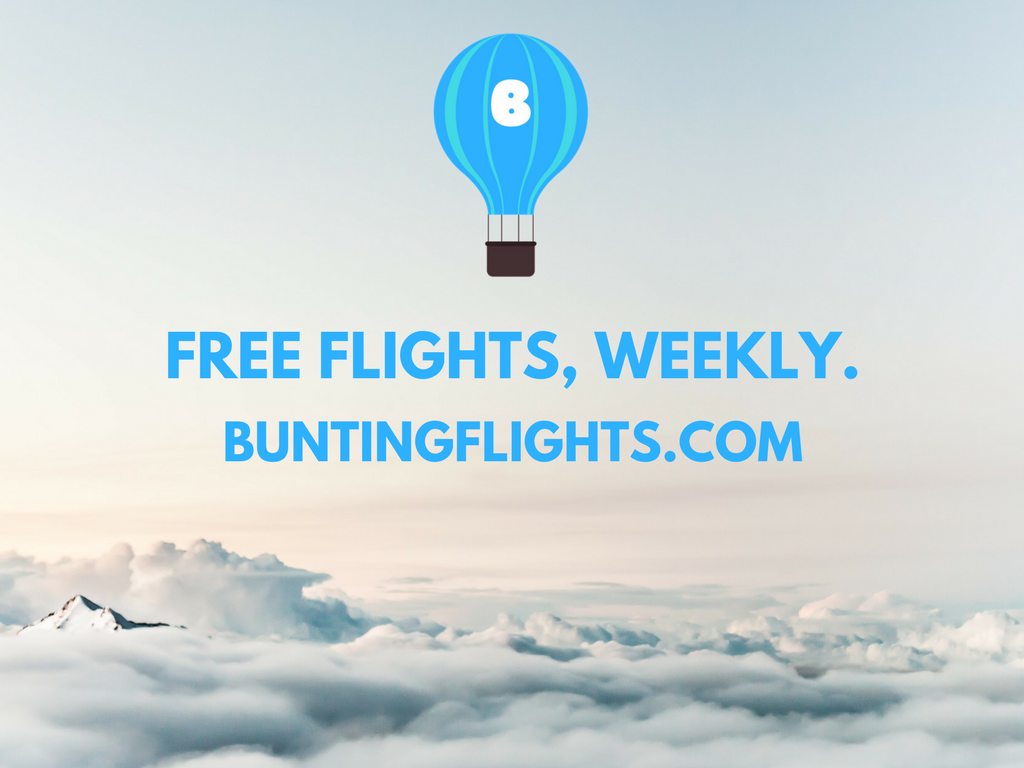 Bunting Flights 2.0 gallery image