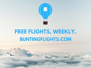 Bunting Flights 2.0 gallery image