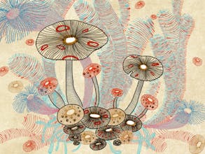Scriba - The Stylus Reinvented gallery image