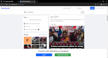 FeeD News gallery image