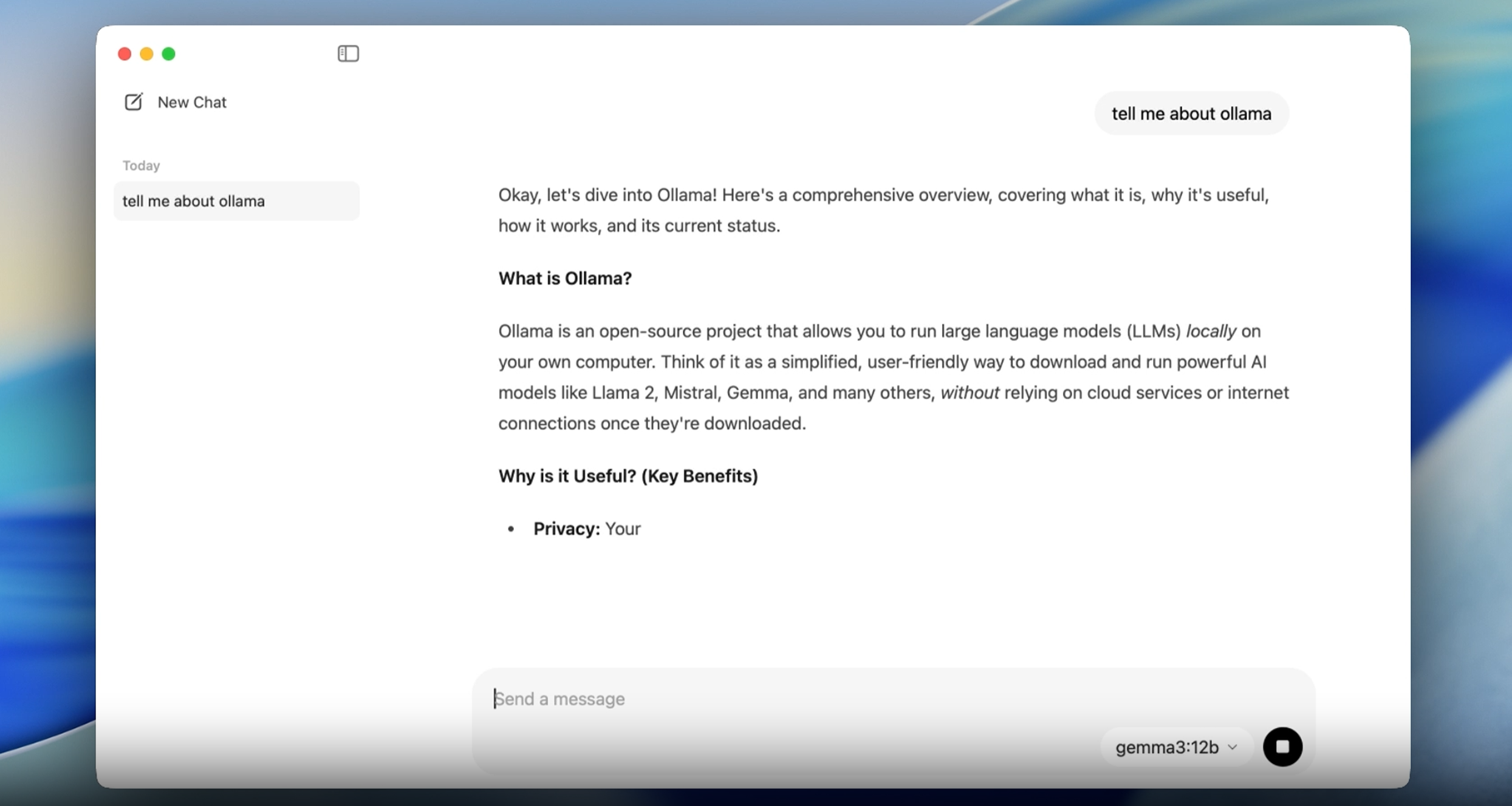 Ollama Desktop App screenshot 2