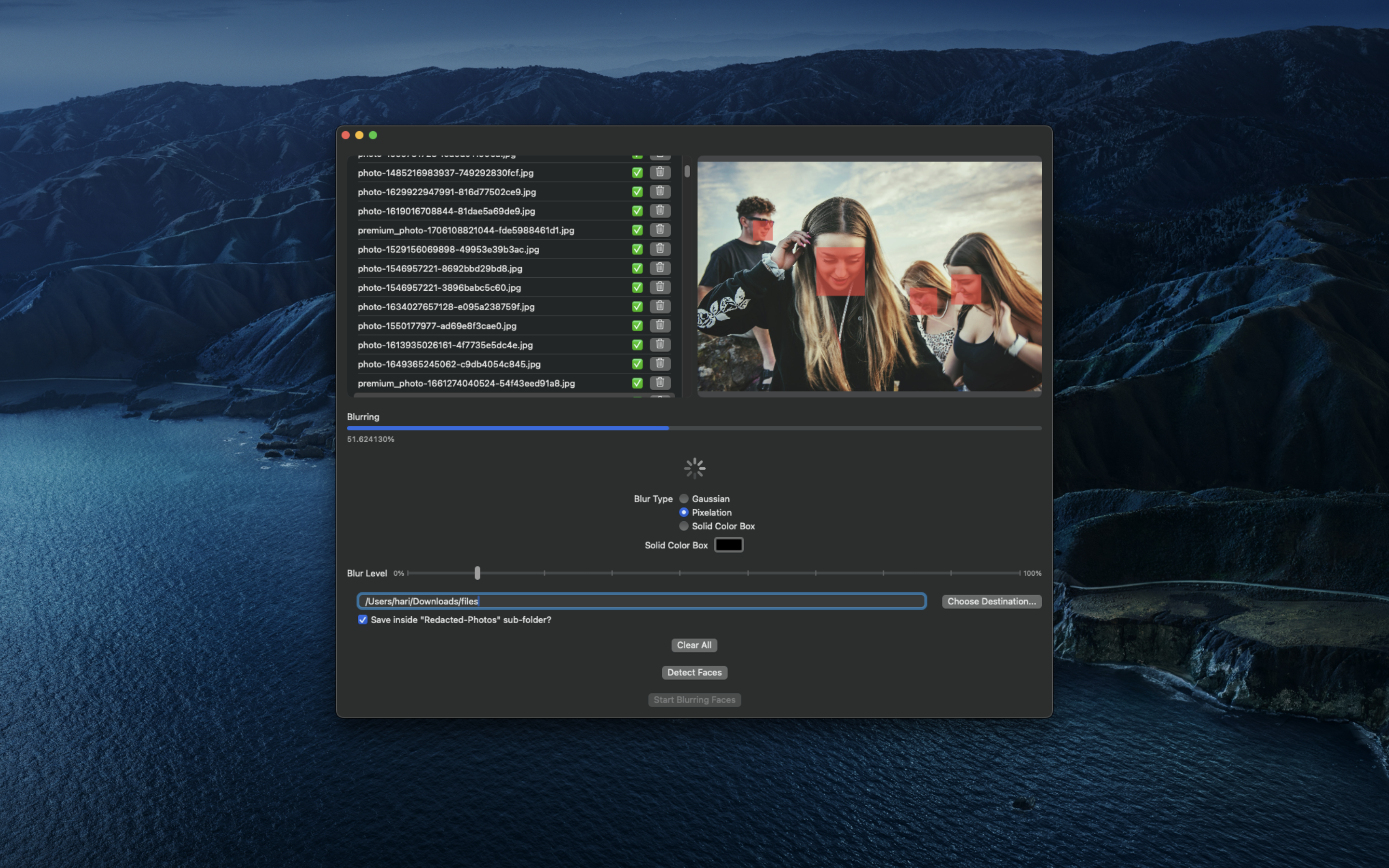 Blur Faces gallery image