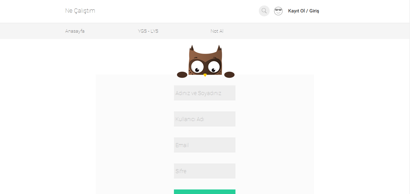 Ne Çalıştım gallery image