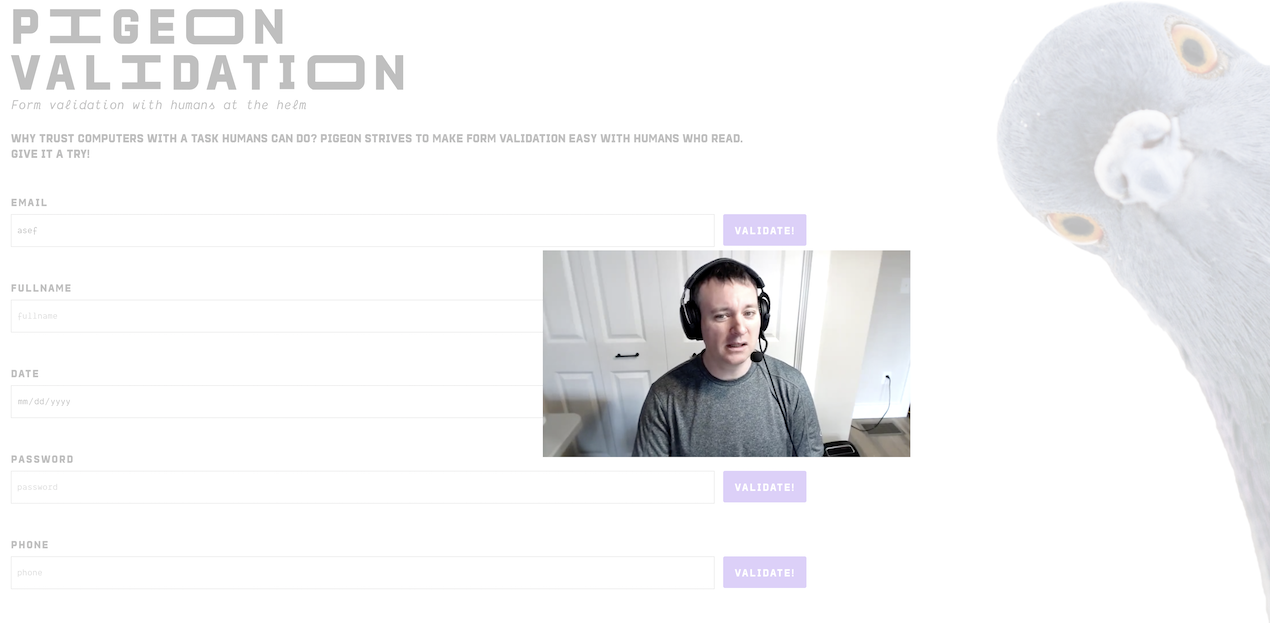 Pigeon - web form validation done right gallery image